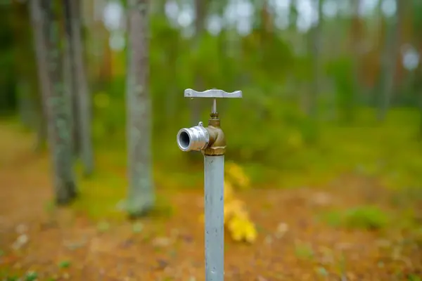 Close-up of a metal water faucet. Water valve on the forest in the background. Water scarcity concept