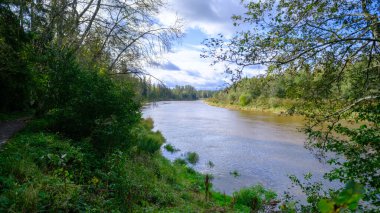 Yaz akşamı Letonya 'nın Gauja köyündeki Gauja nehrinde..
