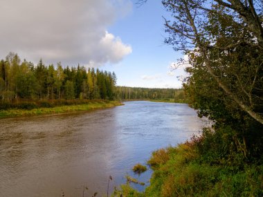Yaz akşamı Letonya 'nın Gauja köyündeki Gauja nehrinde..