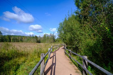 Tahta bir köprü, turistlerin ulaşması zor olan çevresel bir objeye yürümeleri için korkuluklu bir yol. Letonya 'da sonbahar.