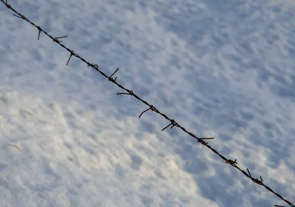 Barbed wire on a light background or snow, one line