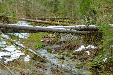 Kış mevsiminde Strazyska vadisinde küçük bir nehir. Polonya 'daki Tatra dağları, Avrupa.
