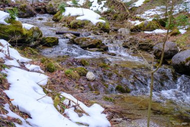Kış mevsiminde Strazyska vadisinde küçük bir nehir. Polonya 'daki Tatra dağları, Avrupa.