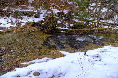 Kış mevsiminde Strazyska vadisinde küçük bir nehir. Polonya 'daki Tatra dağları, Avrupa.