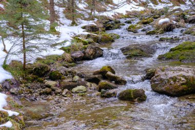 Yazın Strazyska Vadisi 'nde küçük bir nehir. Polonya 'daki Tatra dağları, Avrupa.