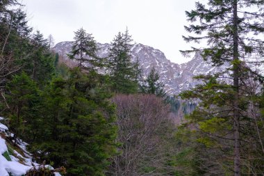 Tatra dağları. Yüksek Tatra Dağları 'nın kış manzarası. Dağ kış manzarası. Yazın Strazyska vadisi. Polonya 'daki Tatra dağları, Avrupa.