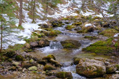 Yazın Strazyska Vadisi 'nde küçük bir nehir. Polonya 'daki Tatra dağları, Avrupa.