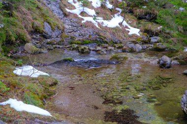 Yazın Strazyska Vadisi 'nde küçük bir nehir. Polonya 'daki Tatra dağları, Avrupa.