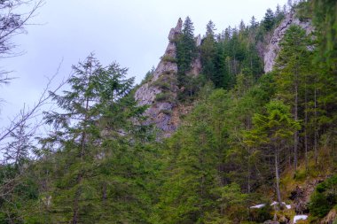 Tatra dağları. Yüksek Tatra Dağları 'nın kış manzarası. Dağ kış manzarası. Yazın Strazyska vadisi. Polonya 'daki Tatra dağları, Avrupa.