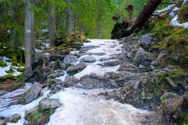 Dağ yürüyüşü patikası. Kış manzarası. Yazın Strazyska vadisi. Polonya 'daki Tatra dağları, Avrupa.