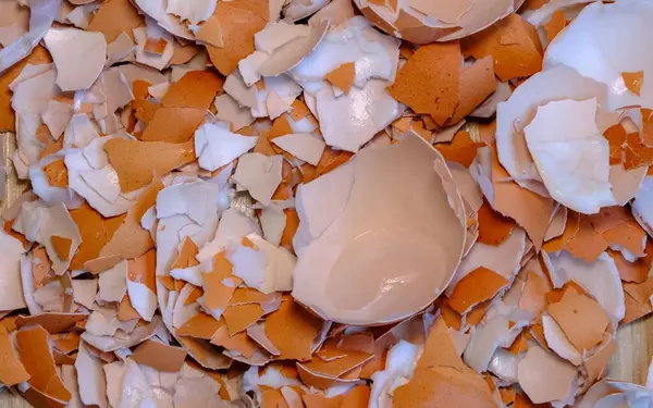 Cascas Ovo Partidas Reciclagem Resíduos Cozinha Depois Cozinhar Cascas Ovos Imagens Royalty-Free