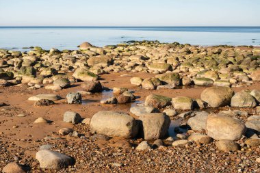 Berrak mavi gökyüzünün altında sakin kayalık bir kıyı şeridi.