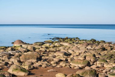 Berrak mavi gökyüzünün altında huzurlu bir kayalık kıyı şeridi.