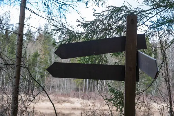Two wooden arrows pointing in opposite directions stand in the forest, contrasting against the sky and natural landscape of grass and trees