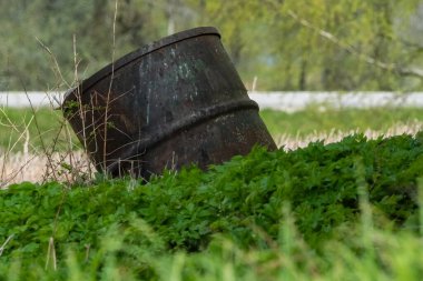 An old, rusty bucket, engulfed by vibrant greenery, showcases natures reclaiming power and the passage of time. clipart