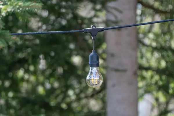 stock image A single hanging light bulb suspended outdoors in a forested area, blending modern lighting with natural surroundings.