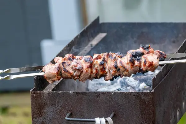 Juicy meat skewers grilling over an outdoor barbecue, showcasing a delicious cooking process with smoke rising from the grill.