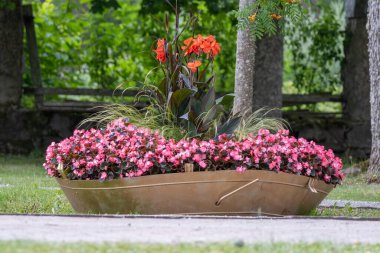 Canlı pembe çiçekler ve uzun otlarla dolu eşsiz bir tekne biçimli bitki, sakin bir açık hava ortamında çarpıcı bir bahçe görüntüsü yaratıyor..