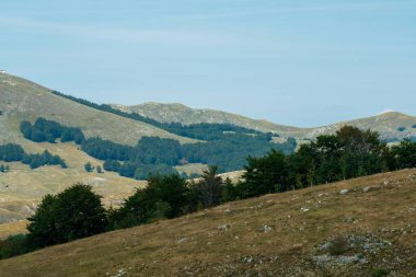 Yuvarlanan tepeler, dağınık ağaçlar ve açık mavi gökyüzünün altındaki kayalık arazi doğal güzellikleri gözler önüne seriyor..