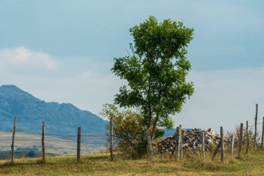 A single tree stands by a rustic barbed-wire fence with a pile of rocks nearby, framed by distant mountains under a cloudy sky. clipart