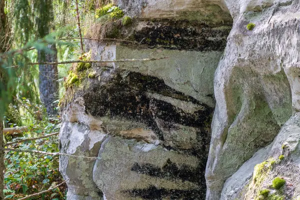 stock image Close-up of a moss-covered rock formation in a forest, showcasing natural textures and layers of erosion and growth.