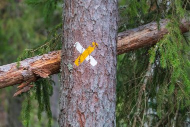 A tree trunk with a yellow and white trail marker, located along a forest trail, surrounded by branches and greenery. clipart