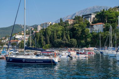 Kotor Körfezi, Karadağ - 22 Ağustos 2024: Açık bir gökyüzü altında yemyeşil tepeler ve tepe kenarındaki evlere karşı kurulmuş yelkenli tekne ve yatlarla dolu bir marina.