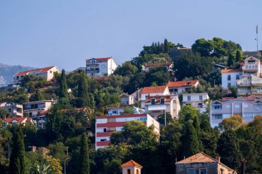 Kotor Körfezi, Karadağ - 22 Ağustos 2024: Akdeniz 'deki bir kasabadan manzaralı manzaralar sunan yemyeşil bir yamaçta kırmızı kiremitli çatıları olan bir grup ev.