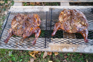 Two spatchcocked chickens grilling on an outdoor barbecue, showcasing crispy skin and smoky flavors in a rustic setting. clipart