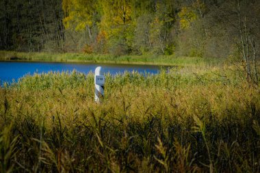 A white marker post labeled 110 stands amidst tall golden reeds near a calm lake, surrounded by vibrant autumn foliage. clipart