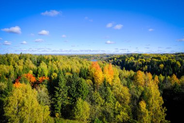 Parlak mavi bir gökyüzünün altında, yeşil, sarı ve kırmızı tonlarda, uzak bir göle bakan renkli bir sonbahar ormanının manzarası..