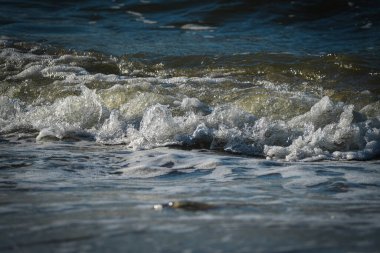 A detailed view of ocean waves crashing at the shoreline, capturing the motion and texture of water in natural light. clipart