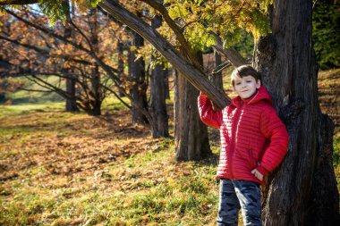 The boy was lost in the forest looking for a way home, the child was left alone in an unfamiliar place, summer holidays in nature, holding a stick in his hand, walking on the grass.