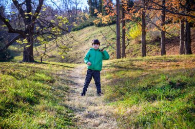 The boy was lost in the forest looking for a way home, the child was left alone in an unfamiliar place, summer holidays in nature, holding a stick in his hand, walking on the grass.