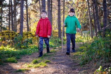 Two boys are running in the autumn forest. Two sibling brother boys are best friends spend time together on nature. Rest outdoors and friendship concept.