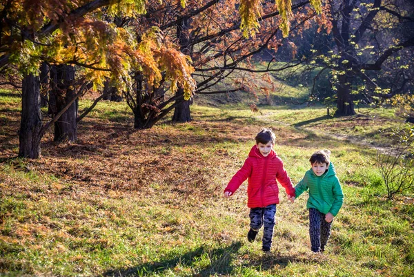 Two Boys Running Autumn Forest Two Sibling Brother Boys Best —  Fotos de Stock