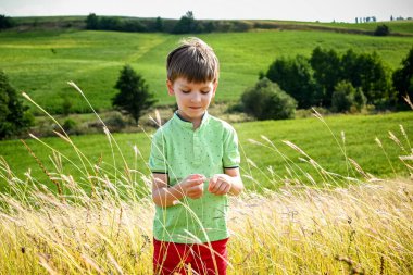 Sahada dikenli çubuğu olan şirin bir çocuk, mesaj için yeri var. Çocuk doğada vakit geçiriyor. Temiz hava almış çocukların olduğu sağlıklı bir yaşam tarzı..