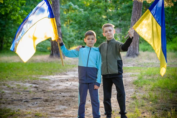 Drapeaux Ukraine Entre Les Mains Deux Garçons Les Enfants Portent — Photo