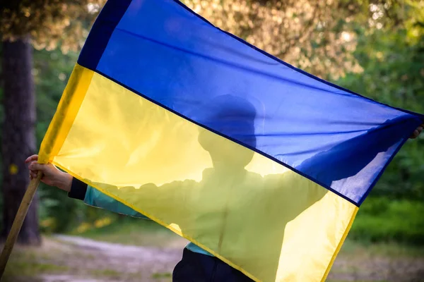 Украинский Мальчик Размахивающим Флагом Молящийся Остановить Войну Украине Поле Закате — стоковое фото
