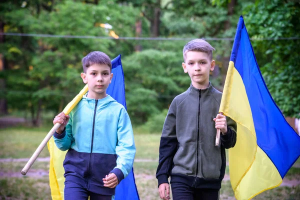 Drapeaux Ukraine Entre Les Mains Deux Garçons Les Enfants Portent — Photo