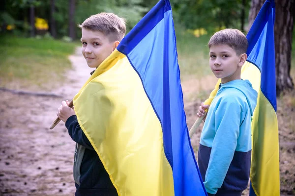两个男孩手中拿着乌克兰国旗 孩子们在风中摇曳着乌克兰国旗 乌克兰独立日 卖旗日 — 图库照片
