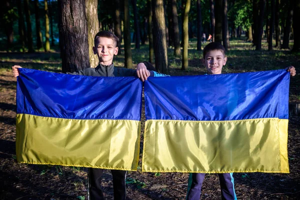 Flagi Ukrainy Rękach Dwóch Opc Dzieci Posiadają Ukraińskie Flagi Żółty — Zdjęcie stockowe