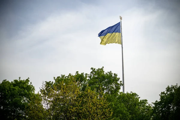 Ukraina Flaga Duży Narodowy Symbol Trzepotanie Błękitnym Niebie Duży Żółty — Zdjęcie stockowe