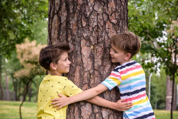 Δύο Μικρά Αγόρια Αγκαλιάζουν Έναν Κορμό Δέντρου Παιδιά Αγαπούν Φύση — Φωτογραφία Αρχείου