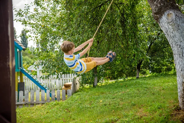 Fröhlicher Kleiner Junge Hat Spaß Auf Einer Seilschaukel Die Beim — Stockfoto