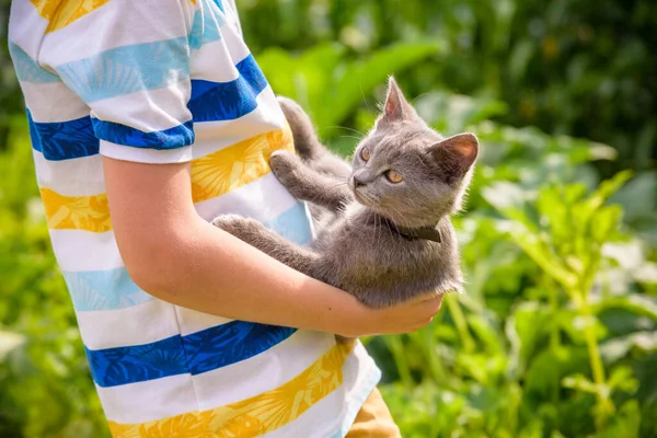 Boy hugging a cat with lots of love. Close up portrait of kitten on hands. Playing with a cat on village countryside.