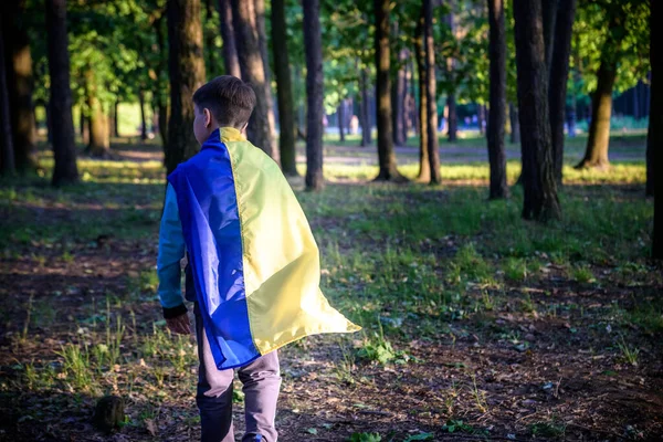 Martwiący Się Nastoletni Patriota Nosi Ramionach Niebieską Żółtą Ukraińską Flagę Zdjęcie Stockowe
