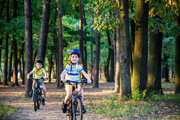 Dwójka Małych Chłopców Bawiących Się Balance Bike Wiejskiej Drodze Koncepcja — Zdjęcie stockowe