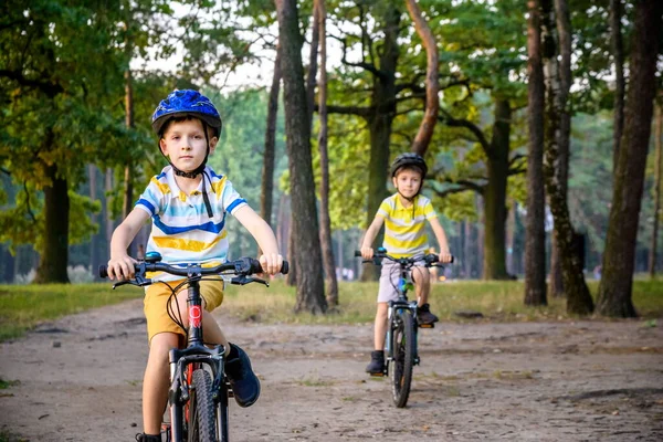 Два Маленьких Мальчика Разноцветной Повседневной Одежде Летнем Лесном Парке Велосипеде — стоковое фото