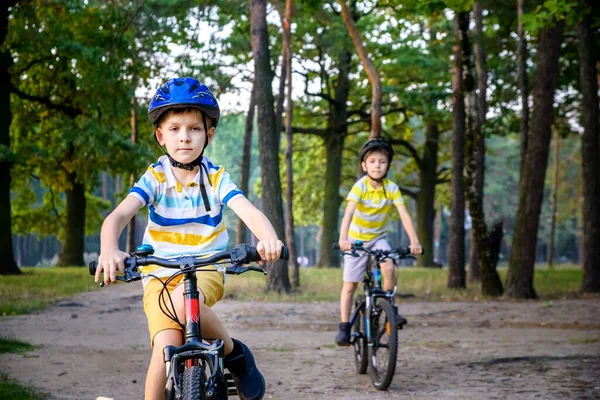 Два Маленьких Мальчика Разноцветной Повседневной Одежде Летнем Лесном Парке Велосипеде — стоковое фото